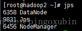hadoop集群启动后都有哪些服务_分布式_03