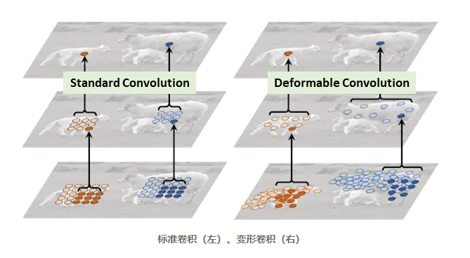 图像分割与embedding_图像分割_27