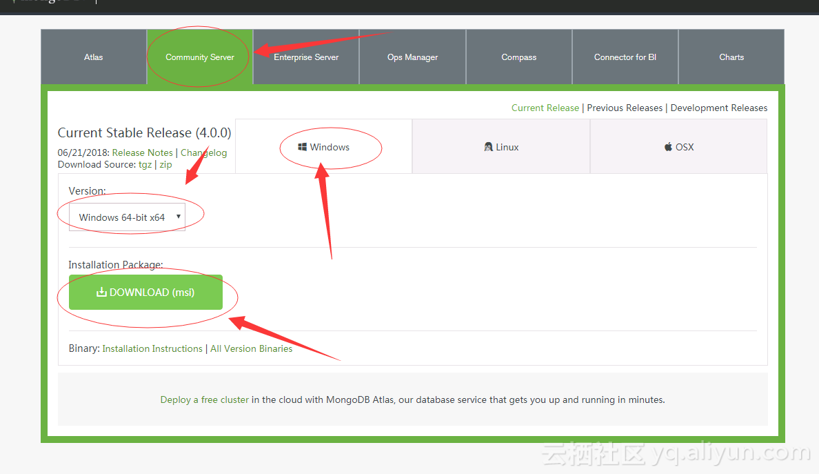 MongoDB的图片数据如何拿出_json