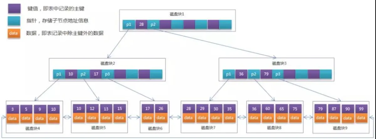 MySQL学习_约束_349