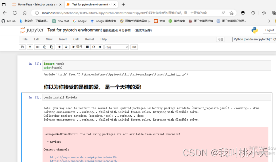 jupyter notebook上使用Python开发时怎么输入_虚拟环境_10