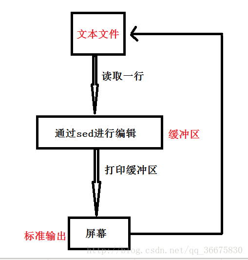 脚本里 加sudo_脚本