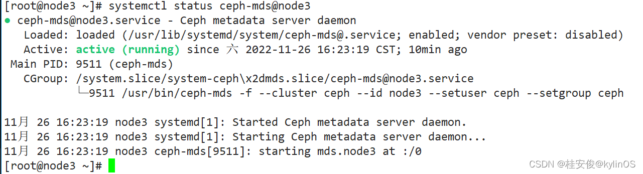 cephadm部署使用docker_ceph文件系统_03