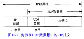 bgp原端口_路由器