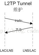 Python解析lldp协议报文构建拓扑图_网络安全协议_03