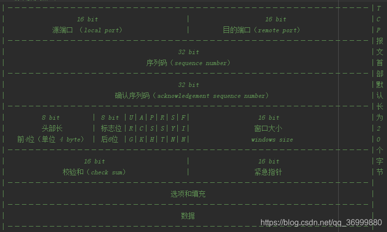 java 编写tcp报文 解析协议_网络编程