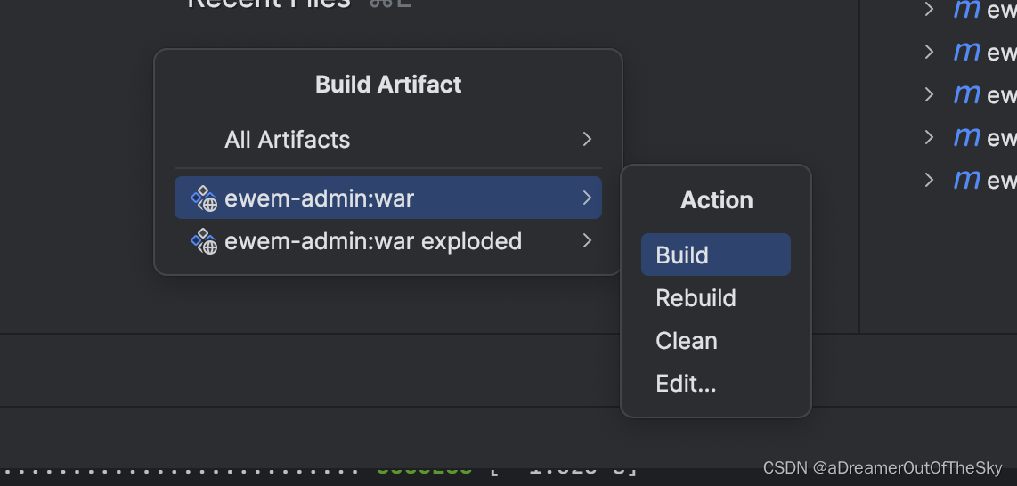 前端文件放在nginx哪里运行_intellij-idea_04