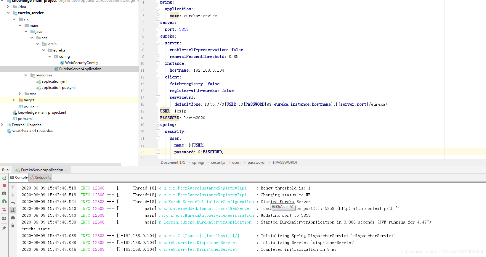 springcloud服务启动不读取nacos端口配置_spring boot_10