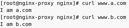 nginx 转发请求最大字节_php_07