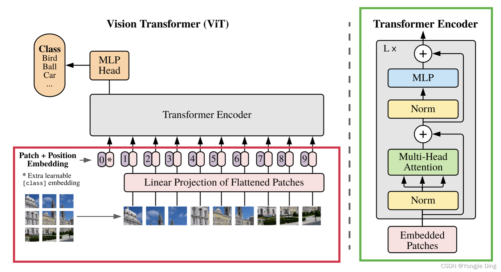 transformer在图像分类中作用_卷积神经网络_12