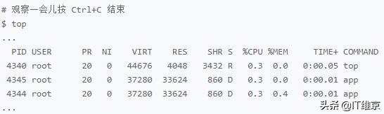 docker产生大量僵尸进程_子进程_03