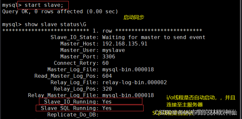 mysql 主从复制出错_数据库_13