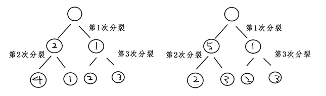 对特征计算注意力权重_特征重要度