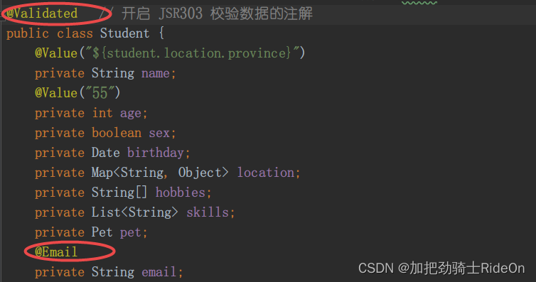 PropertiesConfiguration 注释 乱码_spring boot_05