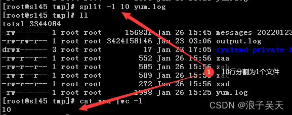 CentOS按行分割文件_split_03