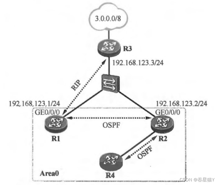 ospf划分_序列号_07