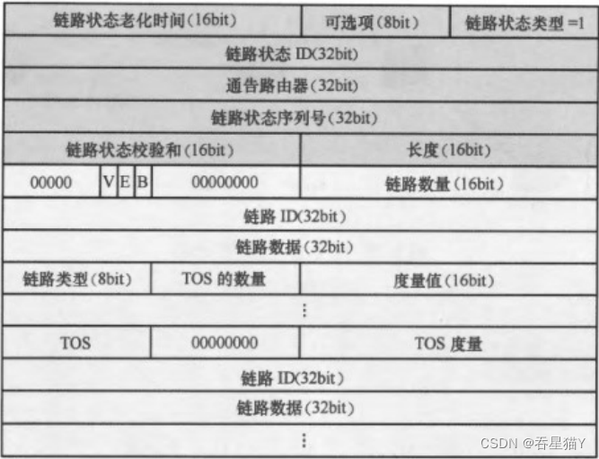 ospf划分_链路_08