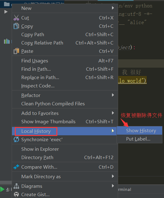 pycharm Virtualenv Environment 更换python版本_python_16