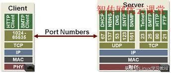 linux 查询nginx端口号_端口号