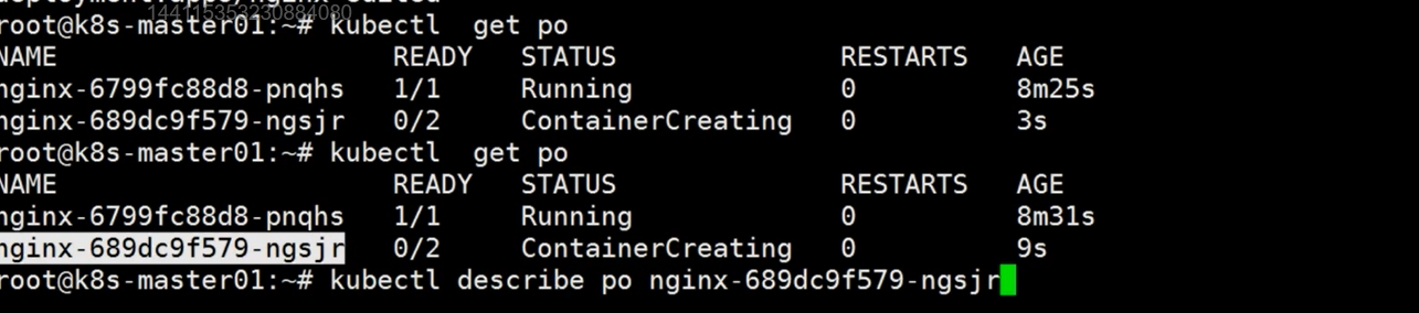 kubectl命令使用root用户进入容器_nginx_04