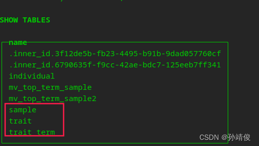 hdfs 存储json数据并解析_hadoop_03