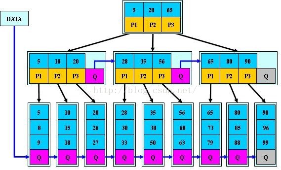 索引树存储在哪里_搜索_07