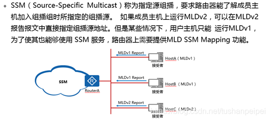 VLAN组播_IPv6_10