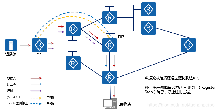 VLAN组播_IPv6_15