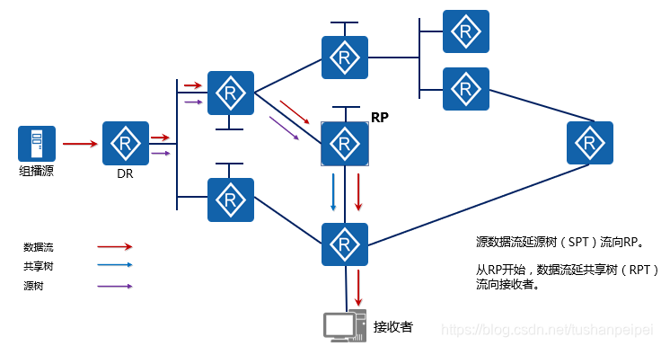 VLAN组播_IPv6_16