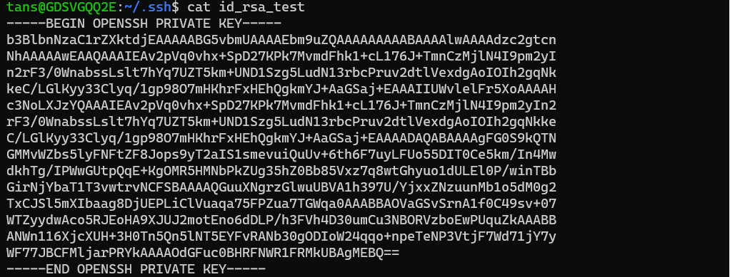 SnowflakeId 容器部署 workid_aws_04