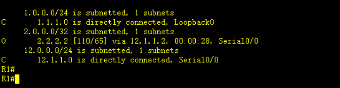 ospf配置认证密码_网络_06