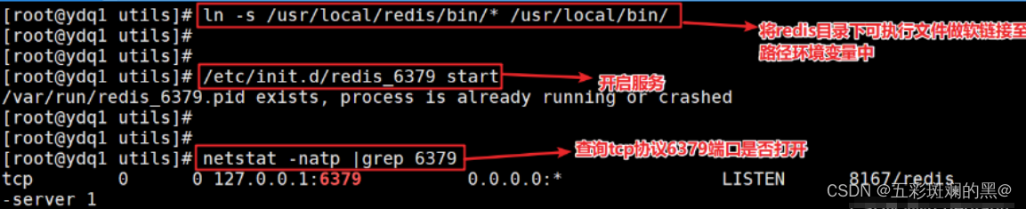 python redis 哨兵获取master_name_Redis_06