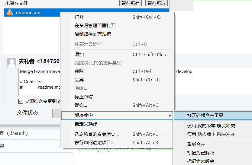 Sourcetree把本地代码关联到远程仓库_java_09