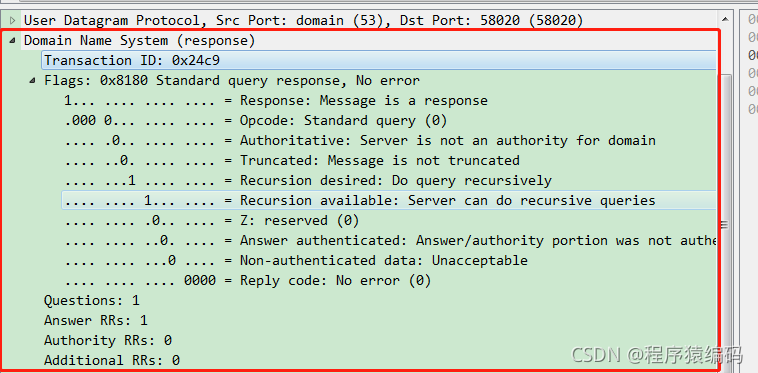 dns additional record_wireshark_06