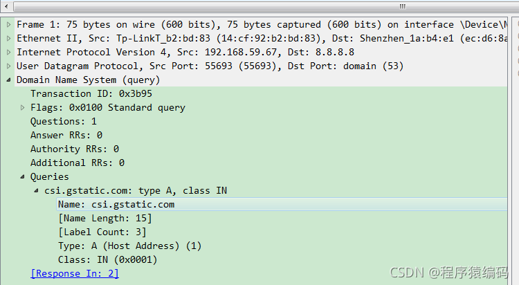 dns additional record_网络协议_13