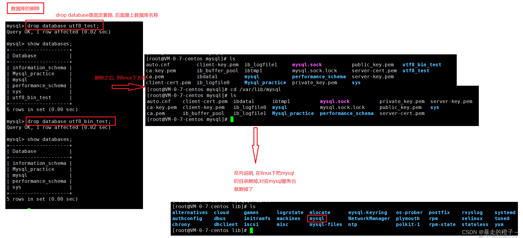 mysql 创建表到制定的数据库_表名_07