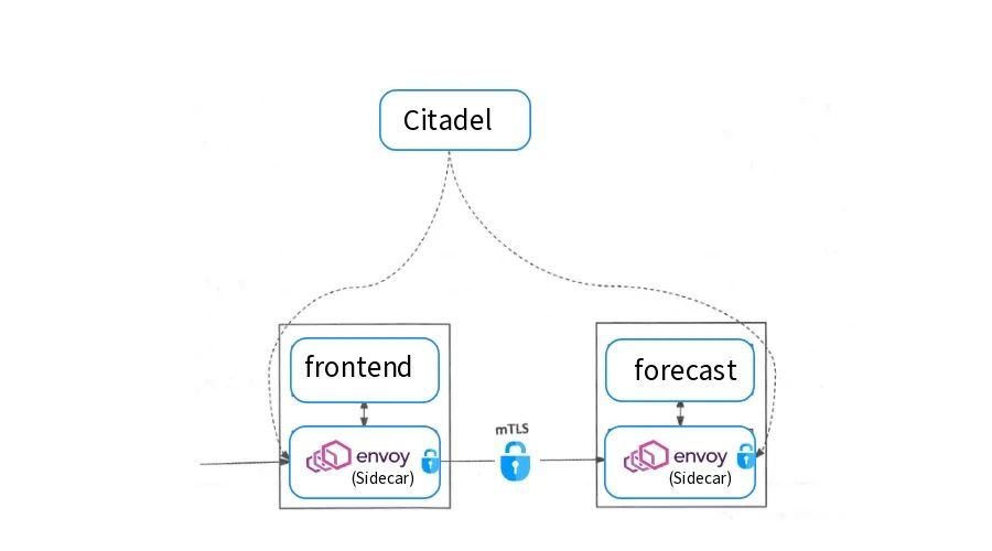 istio查看服务账号授权_kubernetes_08