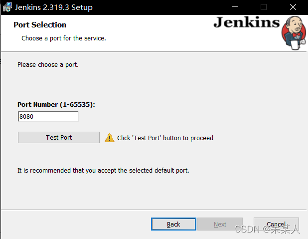 已经安装了pnpm jenkins却找不到是什么原因_Jenkins_04