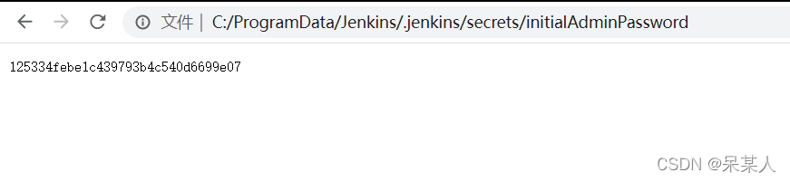 已经安装了pnpm jenkins却找不到是什么原因_Server_09