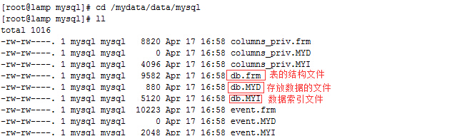 mysqlimport 命令安装_mysql_03