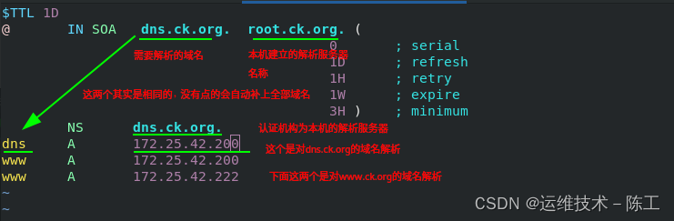 centos搭建dns服务器并设置转发器_DNS_12