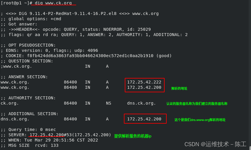 centos搭建dns服务器并设置转发器_linux_13