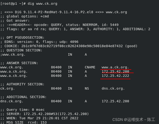 centos搭建dns服务器并设置转发器_vim_17