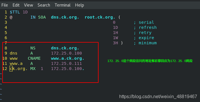 centos搭建dns服务器并设置转发器_linux_26