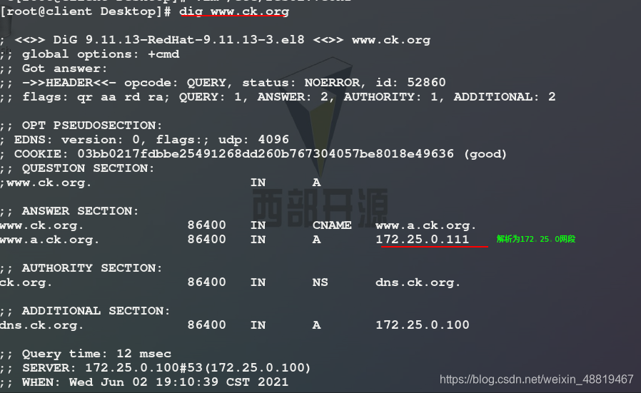 centos搭建dns服务器并设置转发器_DNS_28