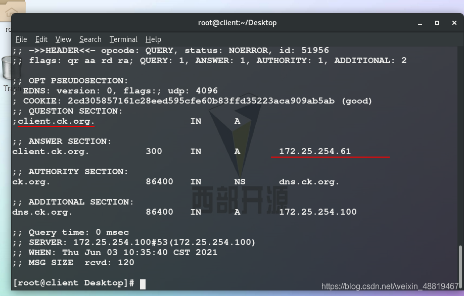 centos搭建dns服务器并设置转发器_DNS_47