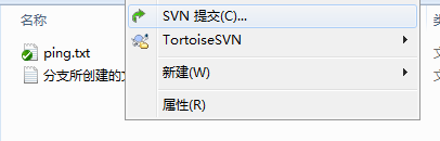 svn创建仓库报错说已存在一个仓库_服务器_22