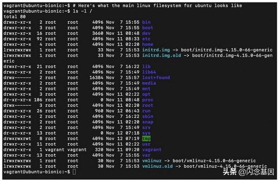 编排文件env envfrom_linux_08