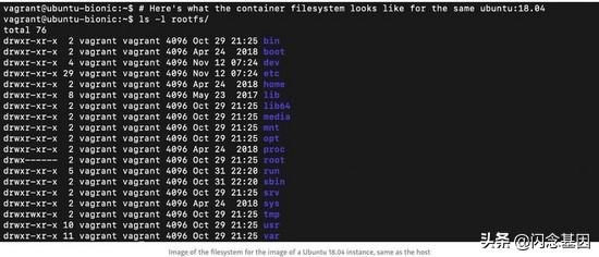 编排文件env envfrom_编排文件env envfrom_09