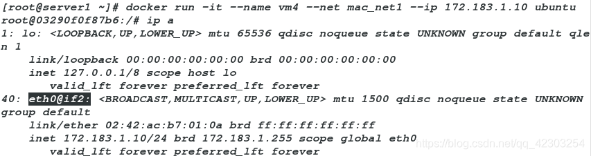 docker重置自定义网络_docker重置自定义网络_15